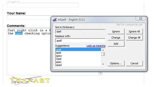 ieSpell Ekran görüntüsü 2