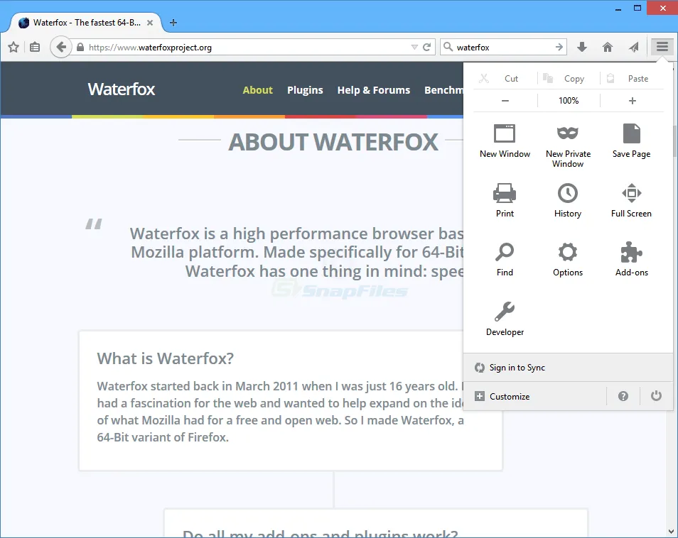 Waterfox Ekran görüntüsü 2